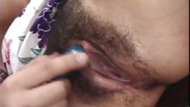 一隻幼小小雞的孔的肛門早晨體操